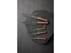 Lion Sabatier International Phenix Knivsæt 5 Dele -Mauviel Salgsbutik 23891 env 4 2201 high