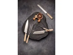 Lion Sabatier International Altya Knivsæt 5 Dele -Mauviel Salgsbutik 26927 env 2 2202 high